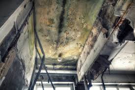 Best Industrial Mold Remediation  in Lake Camelot, IL